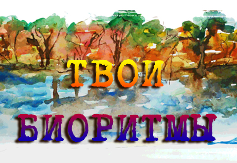 Твои биоритмы